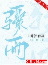 骤雨小说