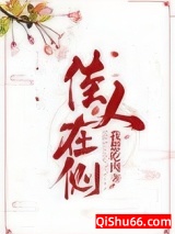 佳人在侧小说