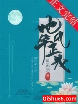 她风华正茂小说