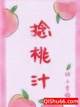 捻桃汁小说