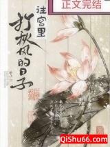 往宫里打秋风的日子小说