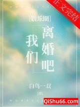 我们离婚吧[娱乐圈]小说