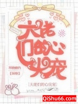 大佬们的心尖宠小说