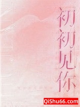 初初见你（作者：予我白鹭）小说