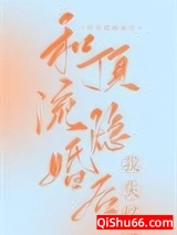 和顶流隐婚后我失忆了小说