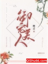 御宠美人小说