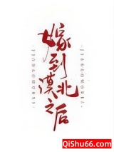 嫁到漠北以后小说