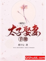 太子娶妻手册（重生）小说