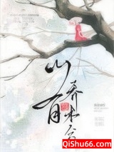 山有乔木兮小说