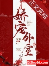 娇宠外室小说