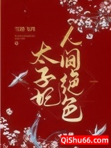 太子妃人间绝色小说