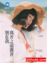 别在我离开之前离开小说