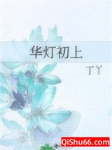 华灯初上小说