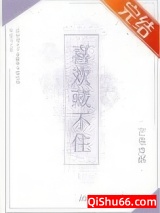 喜欢藏不住小说