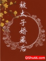 被太子娇藏后小说