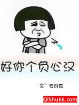 好你个负心汉小说