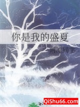 你是我的盛夏小说
