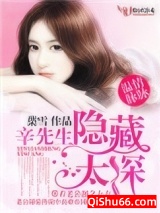 温情脉脉，辛先生隐藏太深小说