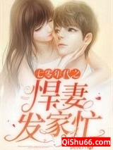 七零年代之悍妻发家忙小说