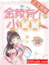 金陵有个小舅舅小说