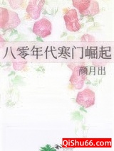 八零年代寒门崛起小说