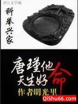 科举兴家：唐瑾他天生好命小说