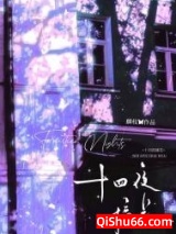 十四夜摘花小说