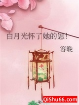 白月光怀了她的崽！小说