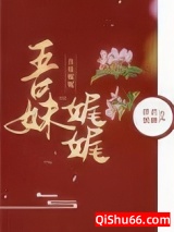 吾妹娓娓小说