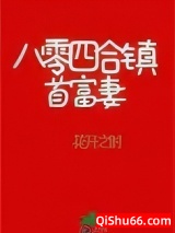 八零四合镇首富妻小说