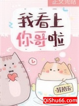 我看上你哥啦小说