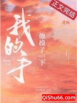 他摸了一下我的手小说