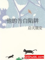 他的告白陷阱小说