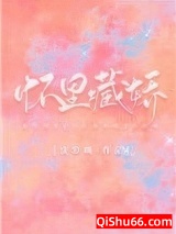 怀里藏娇［娱乐圈］小说