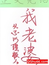 九十年代好丈夫小说