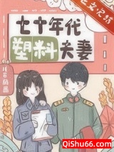 七十年代塑料夫妻小说