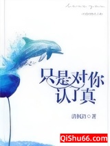 只是对你认了真小说