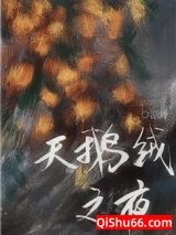 天鹅绒之夜小说