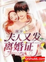 韩少，夫人又发离婚证了小说