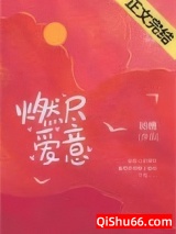 燃尽爱意小说