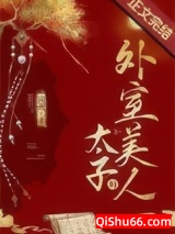 太子的外室美人小说