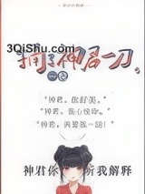 捅了神君一刀小说