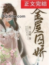 金屋囚娇小说