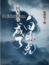 因为能打成了白月光[穿书]小说