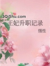 王妃升职记录小说