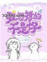 我想撩的不是你小说