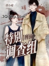 特别调查组[刑侦]小说