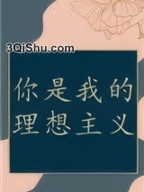 你是我的理想主义小说