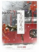 王侯归来时小说