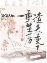 重生后渣夫变了小说